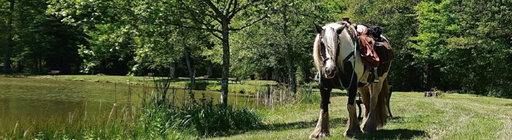 les_sources_en_foret©CDTE70
