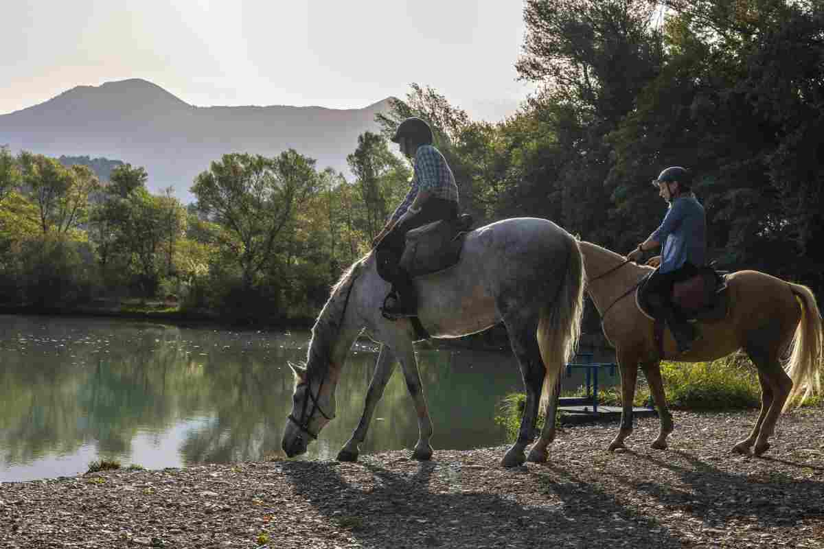 La Haute Provence par la Route Napoléon à cheval