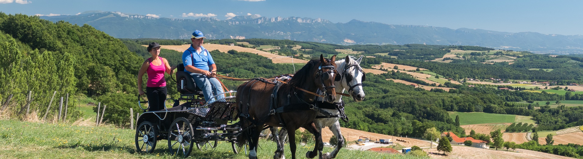 Cavaliers en attelage dans la Drome, vue sur les collines