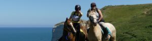 Retour sur les dernières étapes des Grands Régionaux de Tourisme Equestre