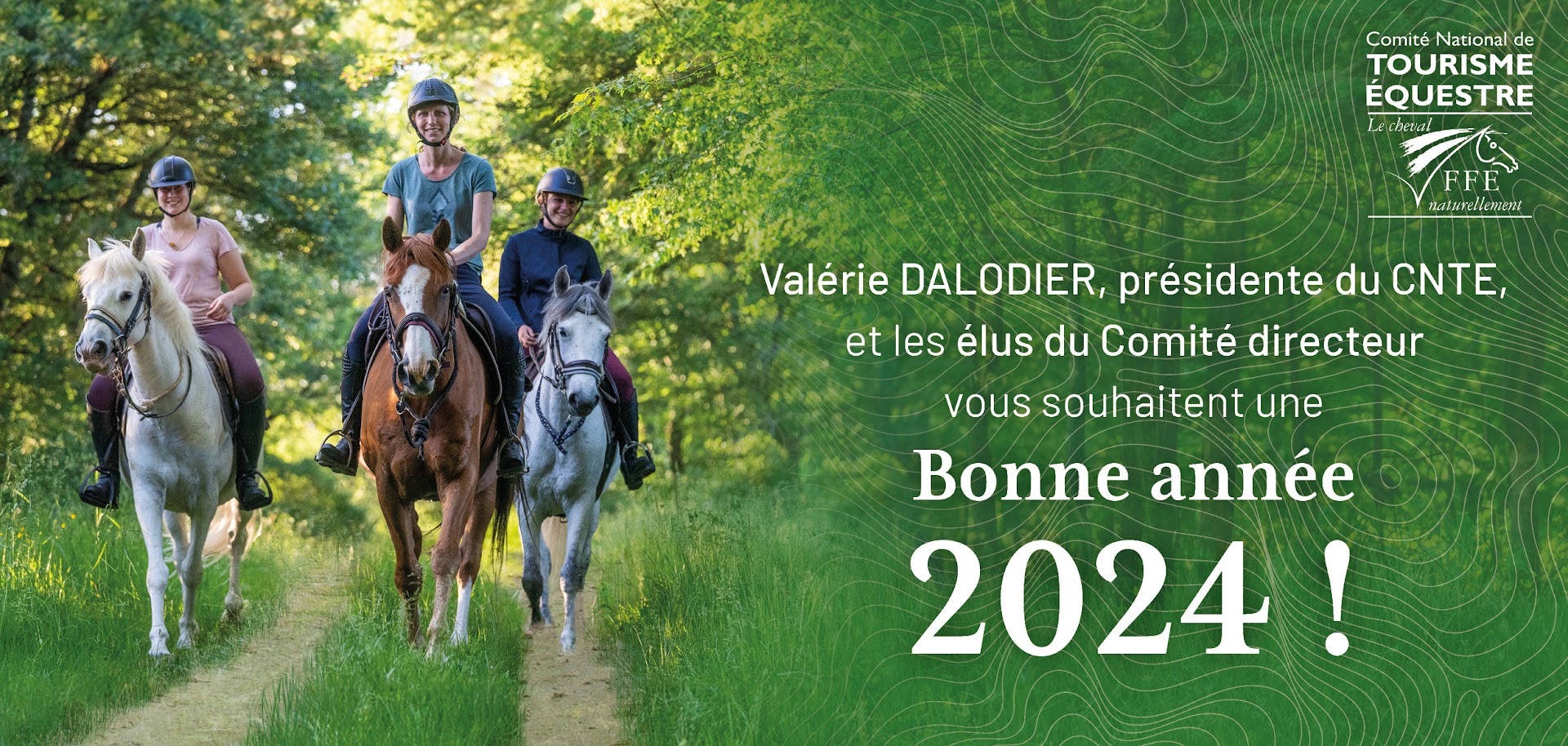 Carte De Voeux Chevaux Horka - Van Harte! - TU