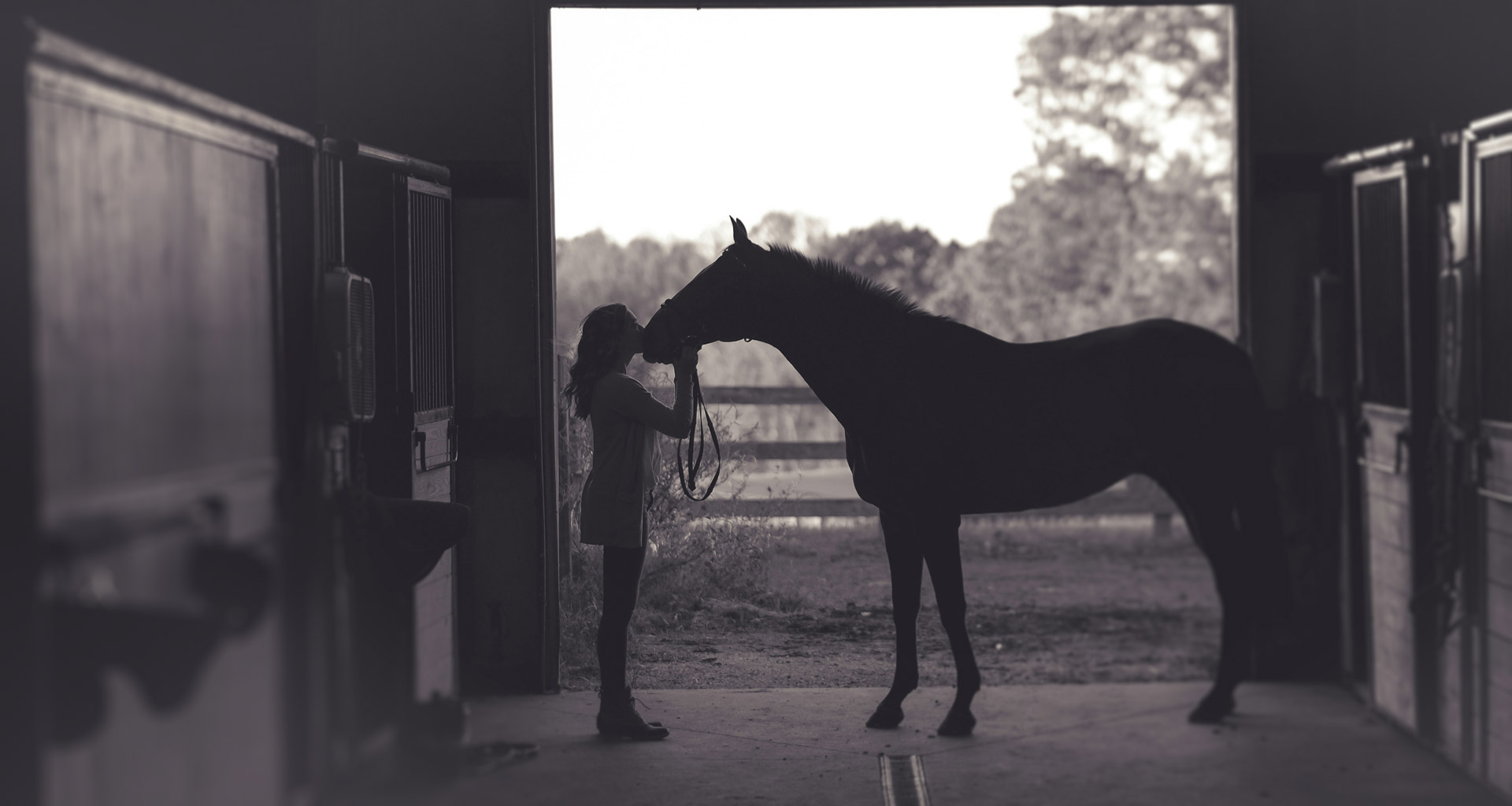 cavalière au box avec son cheval