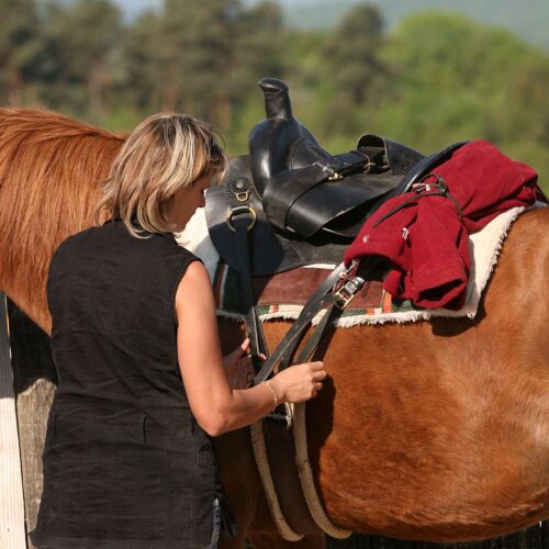 Besoins des « hors structure » & opportunités d’une offre des professionnels de l’équitation