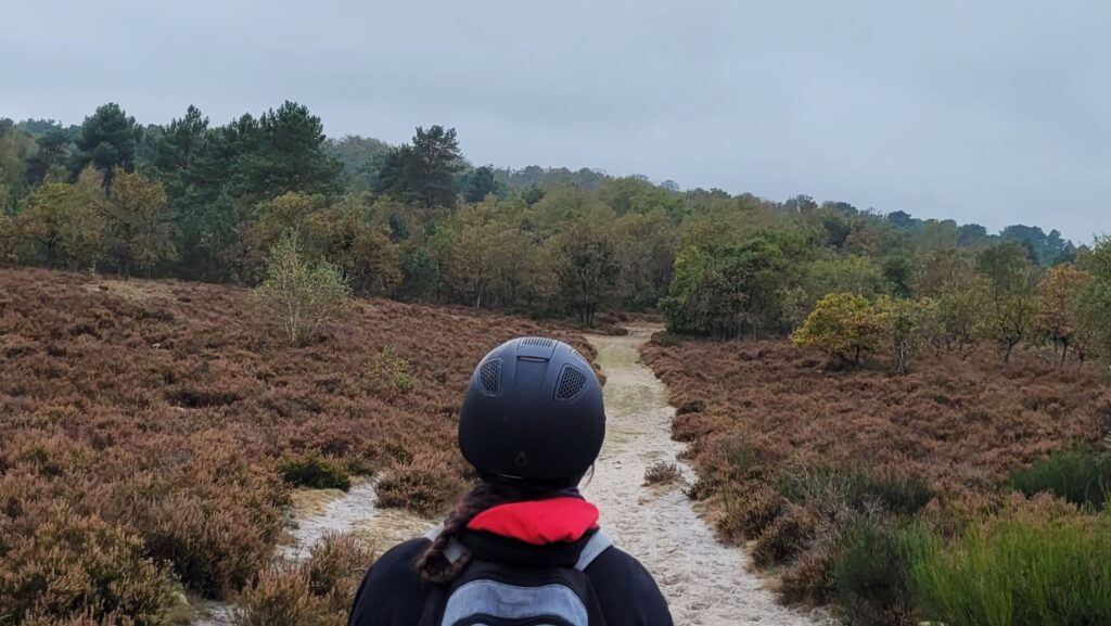 Randonnée en forêt de Fontainebleau