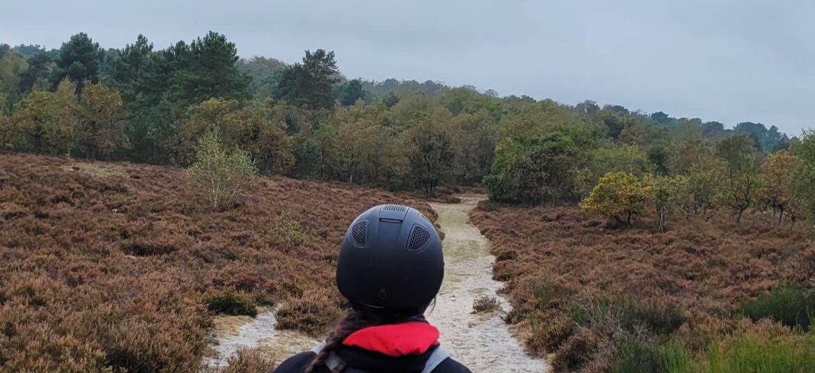 Randonnée en forêt de Fontainebleau