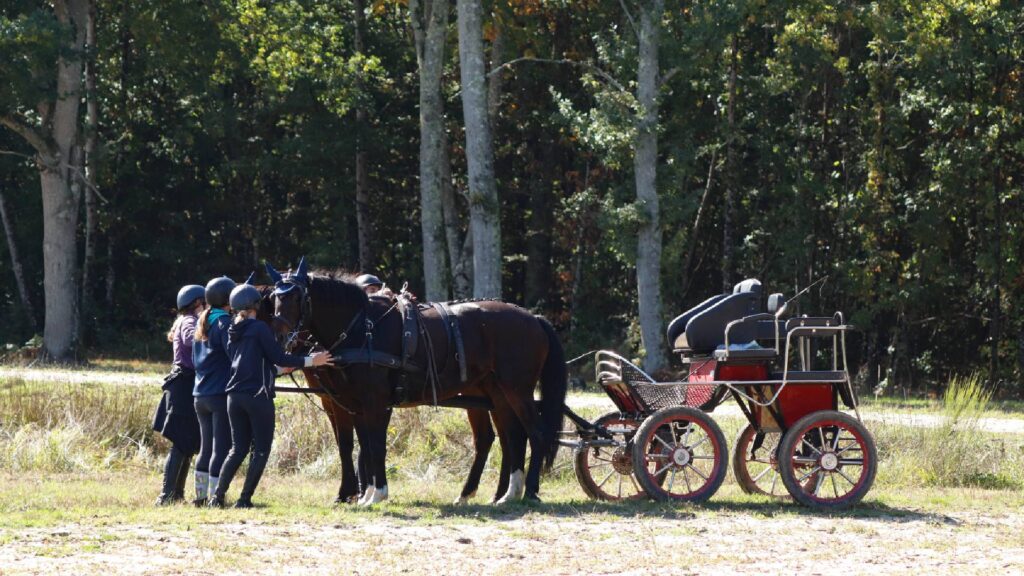 randonnée attelée entre amis