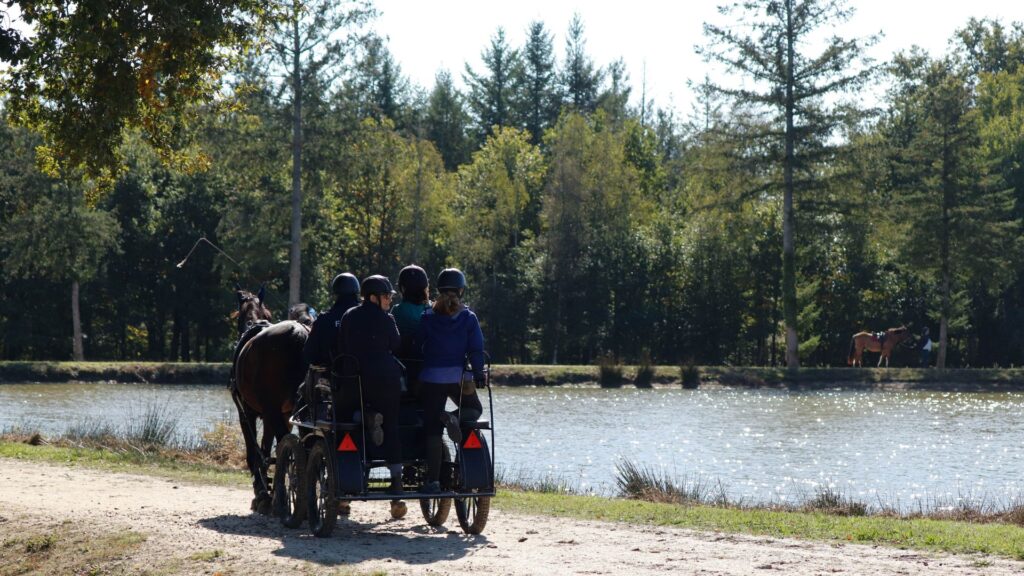 A cheval pour la sécurité routière : quand les cavaliers deviennent acteurs