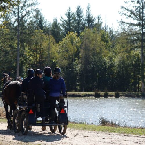 A cheval pour la sécurité routière : quand les cavaliers deviennent acteurs