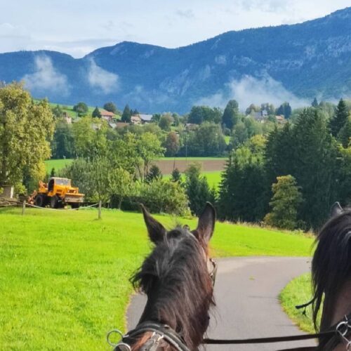 Les Chemins de Mandrin