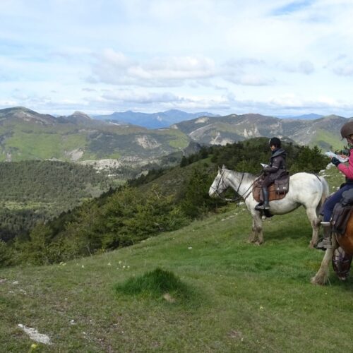 Rejoignez l’aventure du tourisme équestre : devenez bénévole !