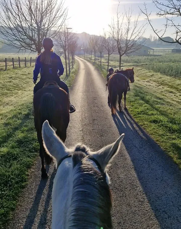 Cavaliers en randonnée à Monflanquin