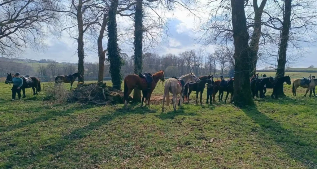 Cavaliers de la Vallée du Gabas en randonnée équestre