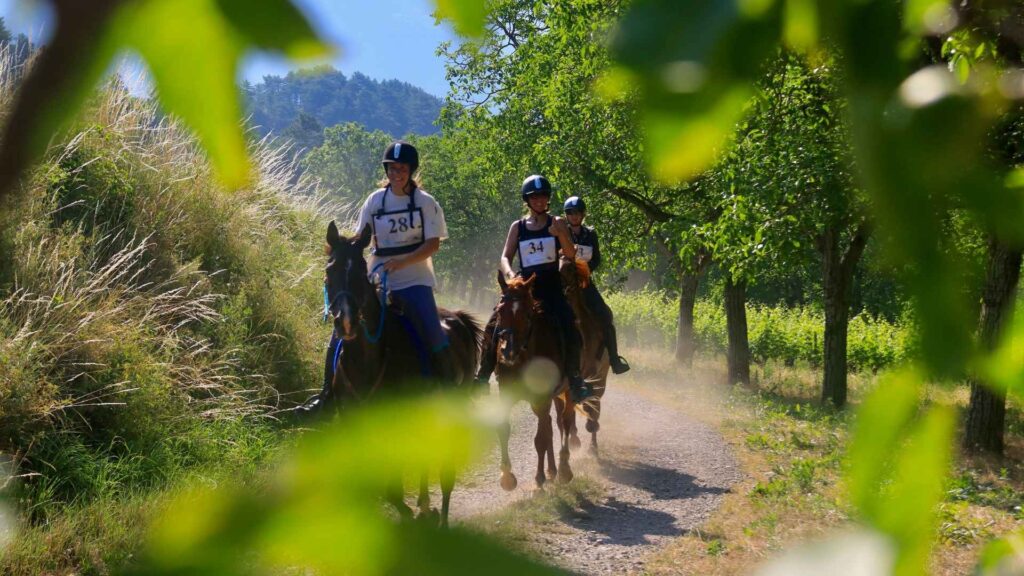 Cavaliers au trot durant le défis nature Diois