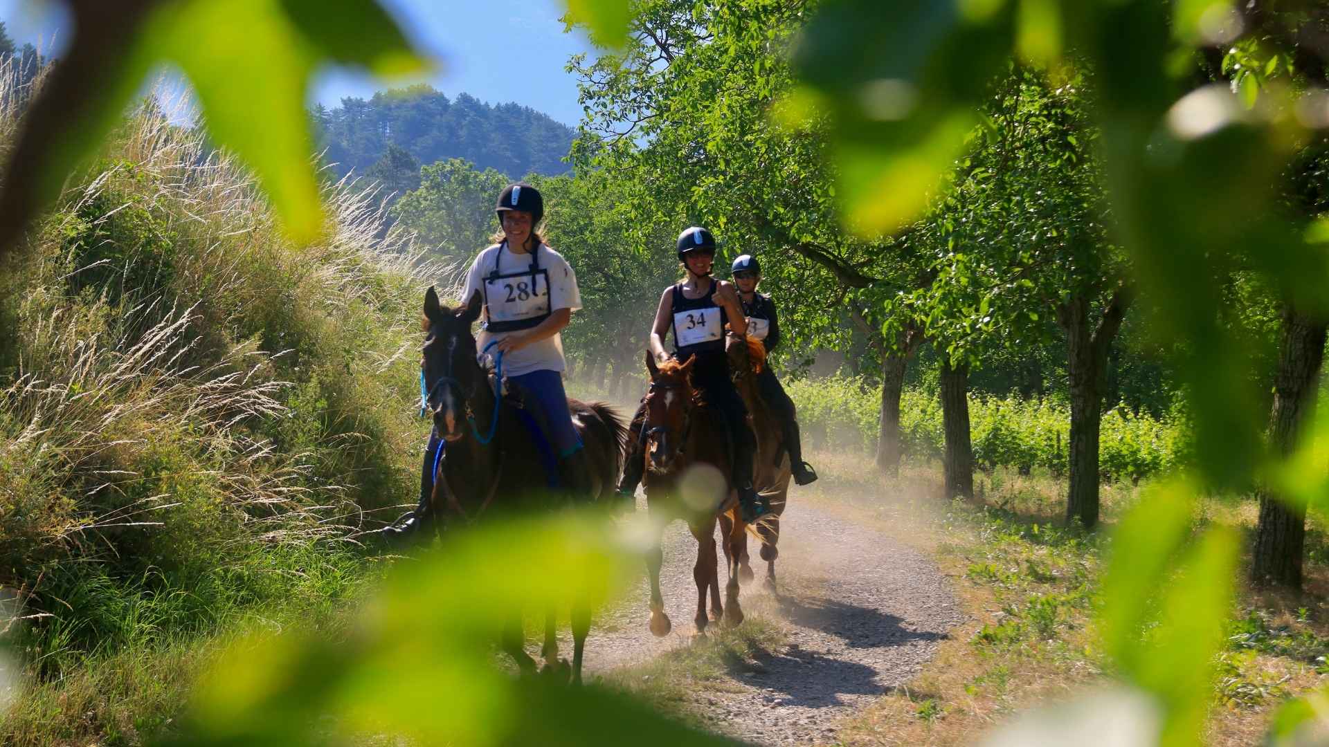 Cavaliers au trot durant le défis nature Diois