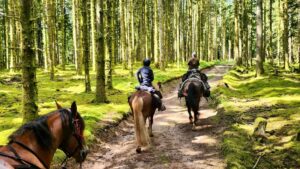 Sur les traces de la Route du Grand-Est