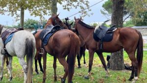 63 Cavaliers à l’assaut des chemins de Montagnac-sur-Auvignon