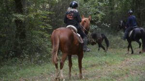 Au cœur du Tursan avec les Cavaliers de la vallée du Gabas