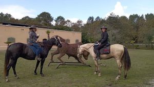 Un rallye solidaire au cœur de la forêt landaise, à El Campo