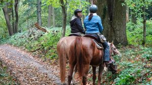 L’Equitation Western mise à l’honneur sur un TREW