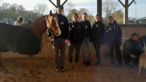 Openfield 2025 – Une immersion dans l’endurance équestre