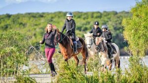 Le POTE : une découverte ludique de l&rsquo;équitation d&rsquo;extérieur